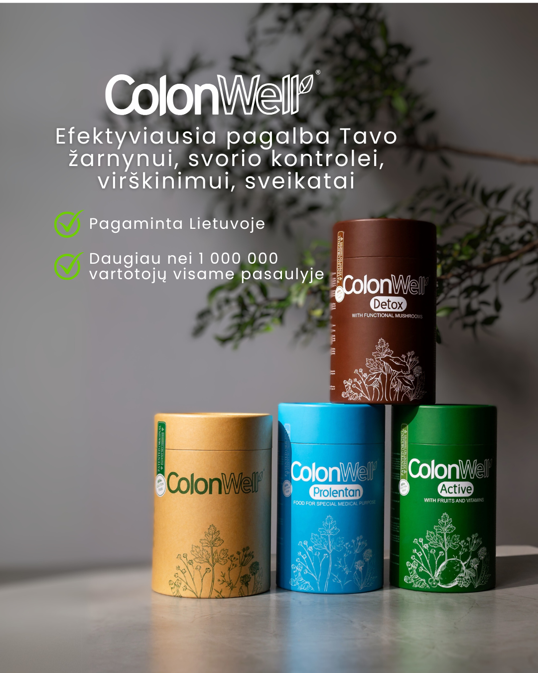 custom-slideshow-image-mobile-block_nNjNmc